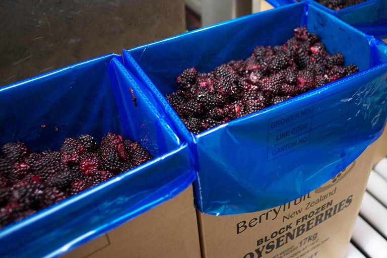 boysenberryprocessing11 Boysenberries New Zealand New Zealand
